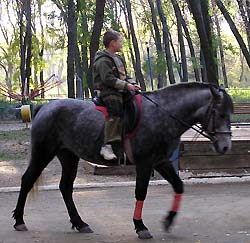 Ужгород сьогодні